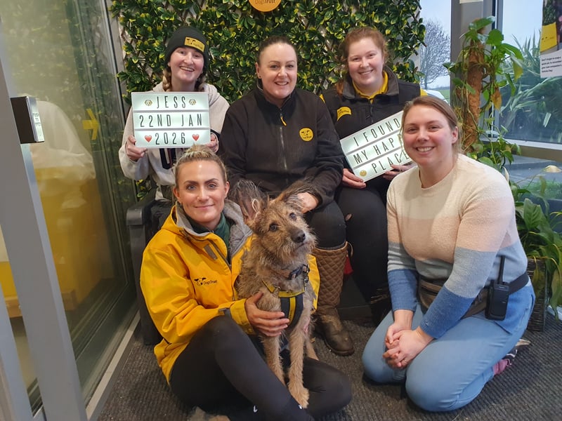 Jess, a one-year-old German Shepherd Crossbreed, has found her forever home after 272 days in the care of Dogs Trust Leeds. She struggled with confidence around people, but thanks to the hard work of the Dogs Trust team, she started to come out of her shell, before finding her forever home in January 2026.
