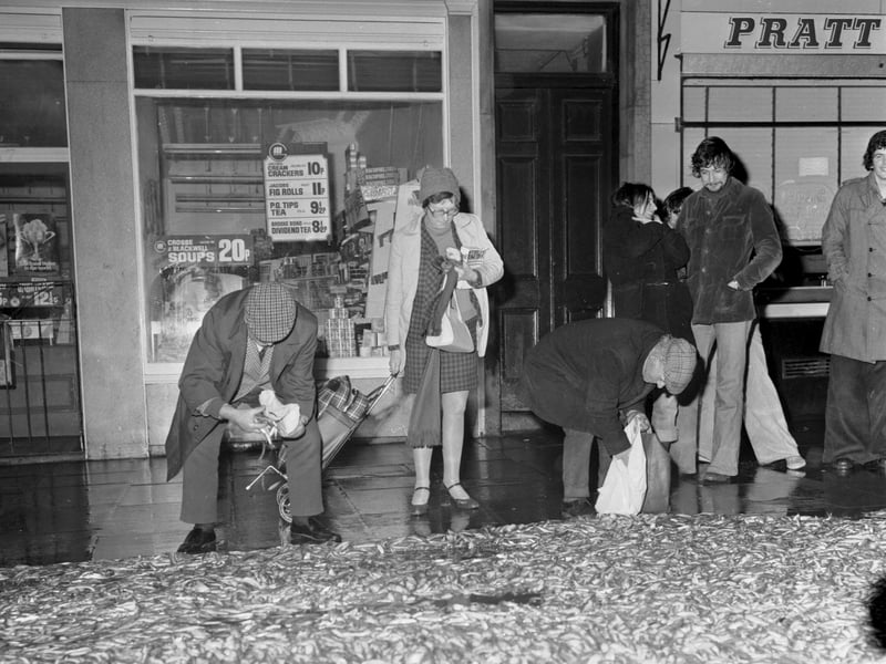 People with bags and buckets scoop up the fish up after an articulated lorry shed its load on Elm Row, Edinburgh, in January 1976