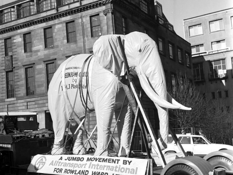 An 11ft-high stuffed African bull elephant is delivered to the Royal Scottish Museum on Chambers Street, Edinburgh, in February 1976