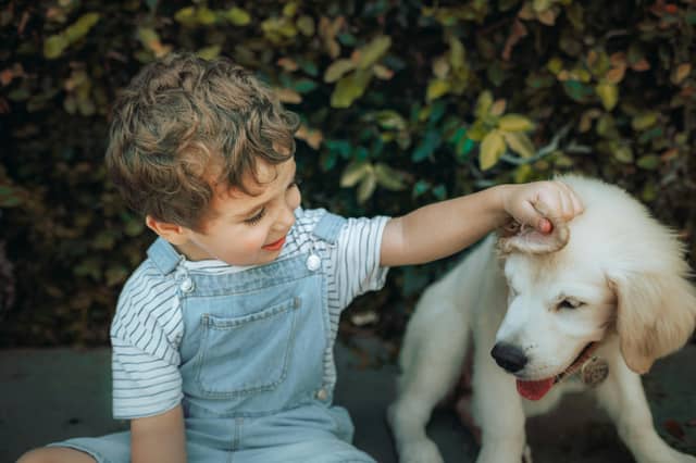 Dogs and children often become best pals.