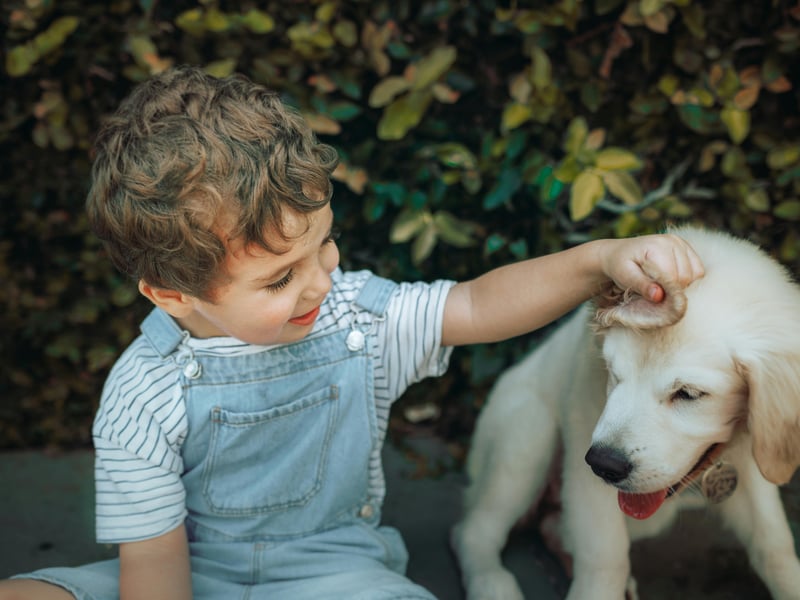 Dogs and children often become best pals.