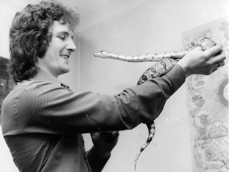 March 1974 and a new home was being sought for Mowgli, a friendly two-year-old boa constrictor. Owner John Lee was finding that her growth is proving a problem for himself and his wife.
