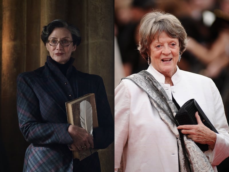 One of the most iconic characters of the series, Professor Minerva McGonagall will be played by two-time Oscar nominee Janet McTeer. The English actress will take over the role from the late Maggie Smith.
