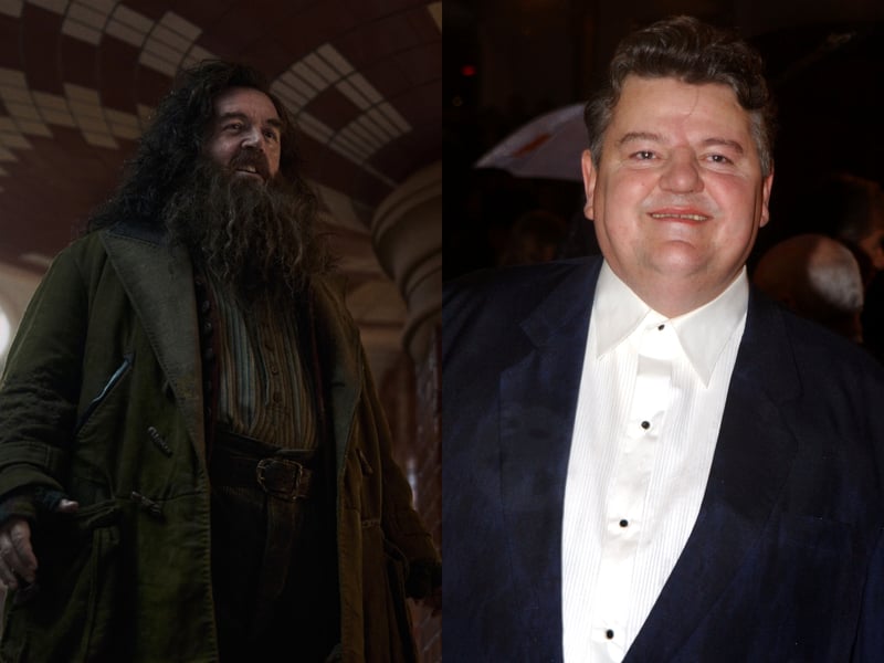 Rubeus Hagrid, the half-giant Hogwarts gamekeeper, will be played by Nick Frost in the new Harry Potter series. Best known for his roles in Shaun of the Dead, Spaced and more, Frost is stepping into the shoes of another late cast member, Robbie Coltrane.