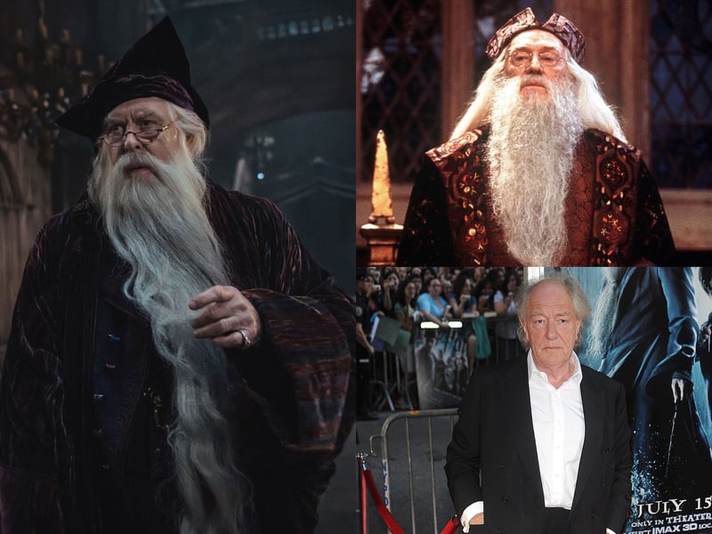 American actor John Lithgow is the latest actor to portray Hogwarts Headmaster Albus Dumbledore. With credits including 3rd Rock From The Sun, Shrek and Dexter, he succeeds both Richard Harris and Michael Gambon. Harris played the role in the first two Harry Potter films, before his death in 2002. Michael Gambon then took over the role for the rest of the series. Jude Law has also played a young Dumbledore, if you want to count the Fantastic Beast films.