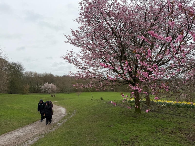 Despite the blustery conditions on Sunday, people braved the weather for a stroll in Golden Acre Park. 