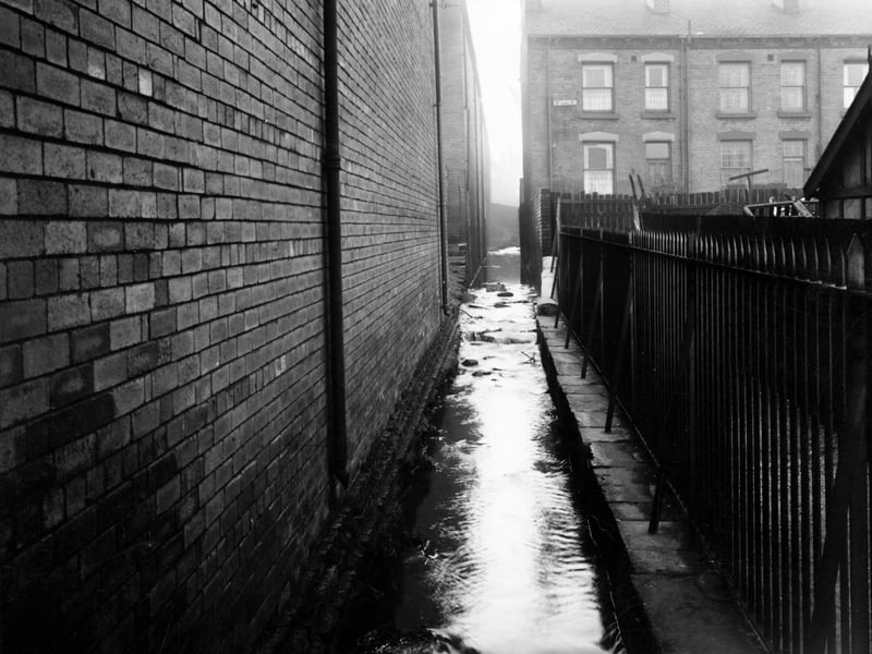 Balm Beck sewer as it runs between Arthington Avenue and Balm Road in November 1949. Houses to the right are on Back Lake Street.