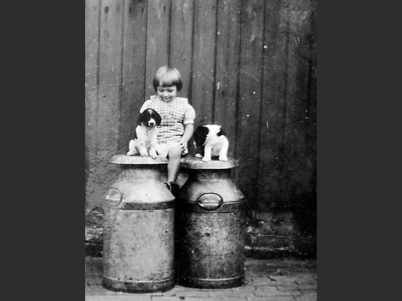 The picture shows the infant Jean Taylor (later Mrs Jean Waters) at her childhood home, Sales Farm, Somerwood, in Upton Magna parish, in the 1930s. She was a market trader at Shrewsbury for over 50 years, until 1998.