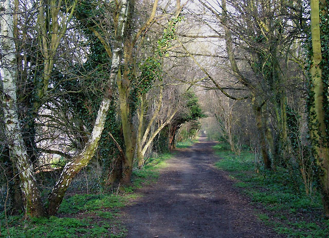 This walk is rated 4.5 out of 23 reviews on the app. AllTrails has labelled it as a moderate walking level. Length - 12.9km Elevation gain - 285m Estimated time - 3.5-4 hours. The primary starting point for this walk is located at the Castlecroft/Claregate area near Compton, AllTrails reviewer, Julie Anne wrote: "Quiet walk, not that inspiring, bit muddy in places, didn't do the full route. Seems to be more of a dog walking route than anything else. Not much to see, but lovely peaceful cafe at Tettenhall old station, nice coffee, cakes and sarnies."
