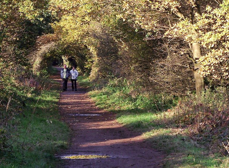 This walk is rated a 4.3 out of 58 reviews on the app. AllTrails has labelled it as a moderate walking level. Length - 10.1km Elevation gain - 231m Estimated time - 2.5-3hr. The primary starting point for this walk is a free car park at Wombourne Station/Bratch Lane One AllTrails reviewer, Jodie Whickett said: 'Didn’t follow trail as was overgrown, continued straight and found some beautiful art work'
