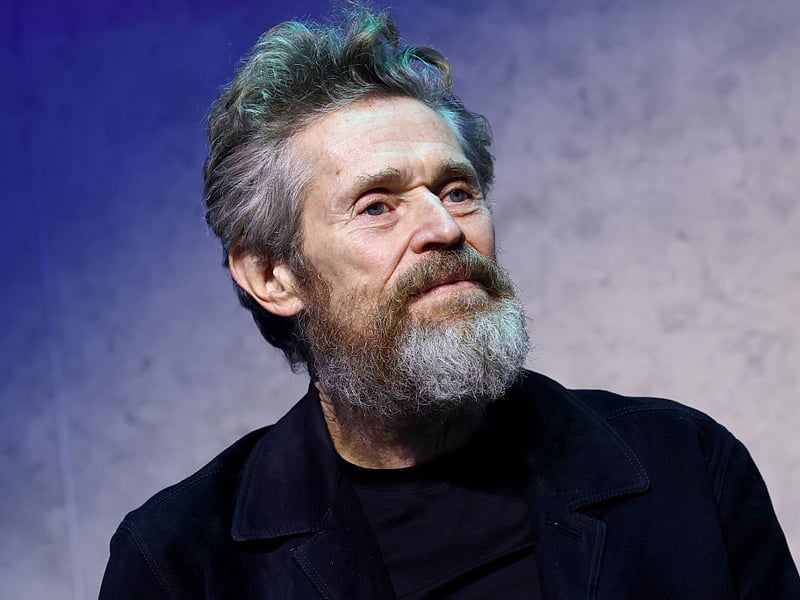 Willem Dafoe has a proud history of playing iconic baddies - from Bobby Peru in 'Wild at Heart' to the Green Goblin in Spider-Man. He's another actor who is priced at 4/1 to play Voldermort.