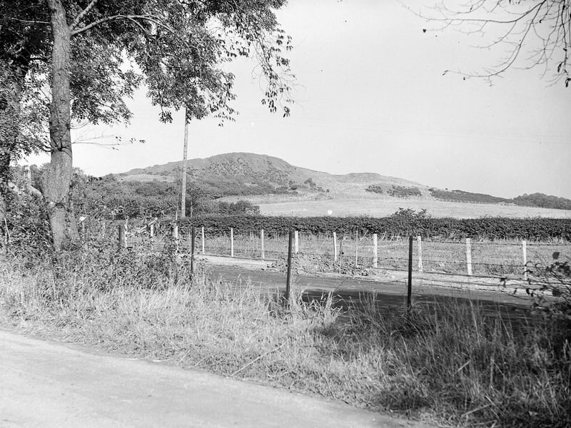 Craiglockhart Hill in August 1956.