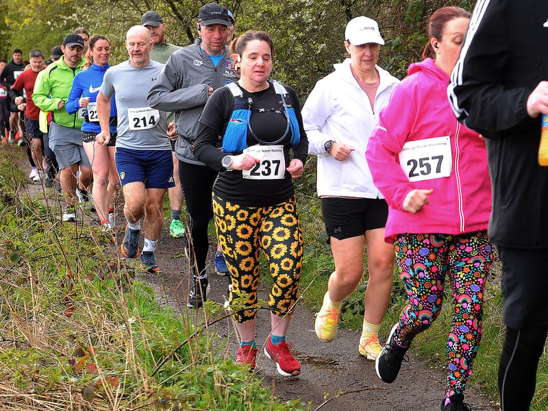 Runners set off through the woods.