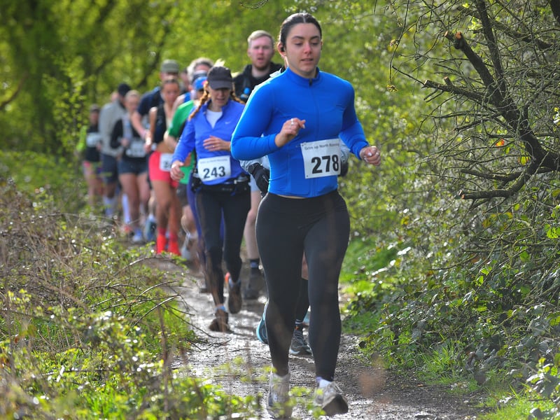 Runners in their stride.