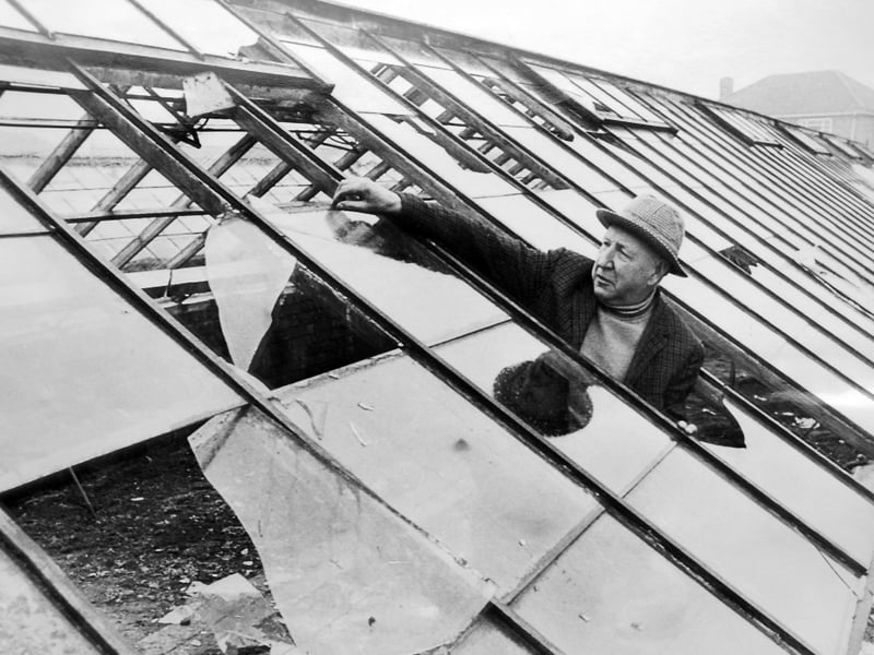 February 24, 1969: Mr Hubert Veale inspecting damaged panes of glass in one of his greenhouses near the drive to the village’s new children’s play area. Vandals had smashed more than 30 panes, prompting condemnation from the parish council chairman, Mr K Worthington. Mr Veale, a retired market gardener of Glebe House, High Street, Albrighton, kept the three greenhouses as a hobby following his retirement. A 6ft wall had been built to help protect the site, though repairs to the damage were expected to cost around £20.