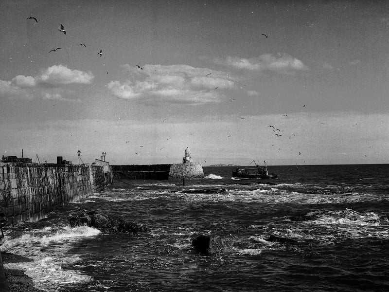 The entrance to Pittenweem Harbour in April 1952.