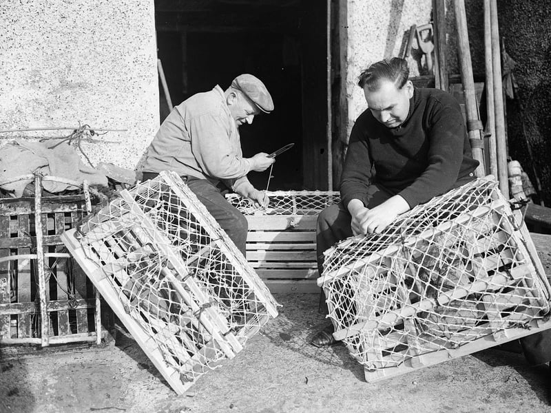 Lobster fishermen at Crail mending lobster pots in April 1957.