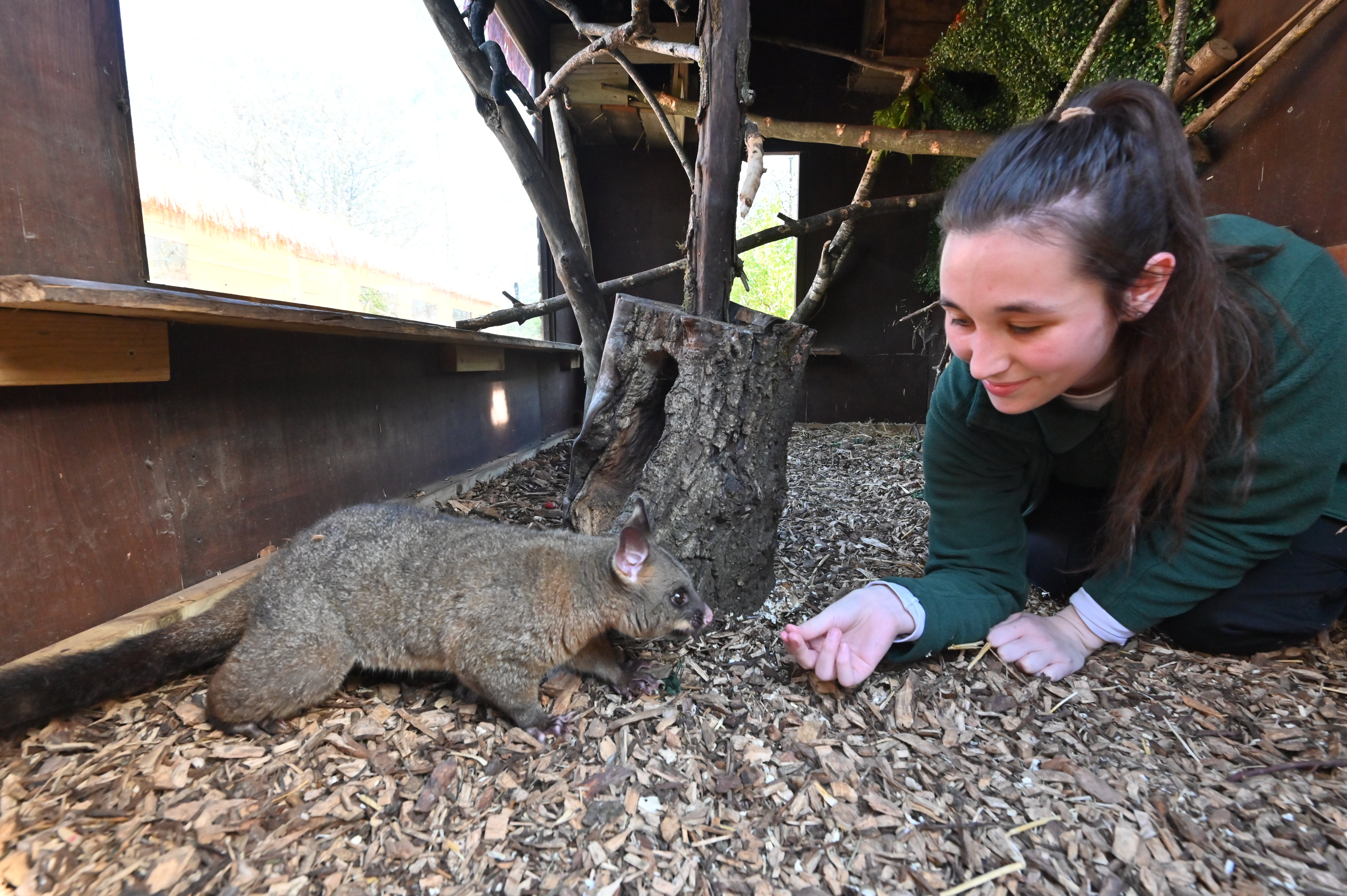 Rhea Jack with a possum