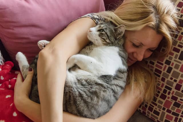 Some cats just love a cuddle.