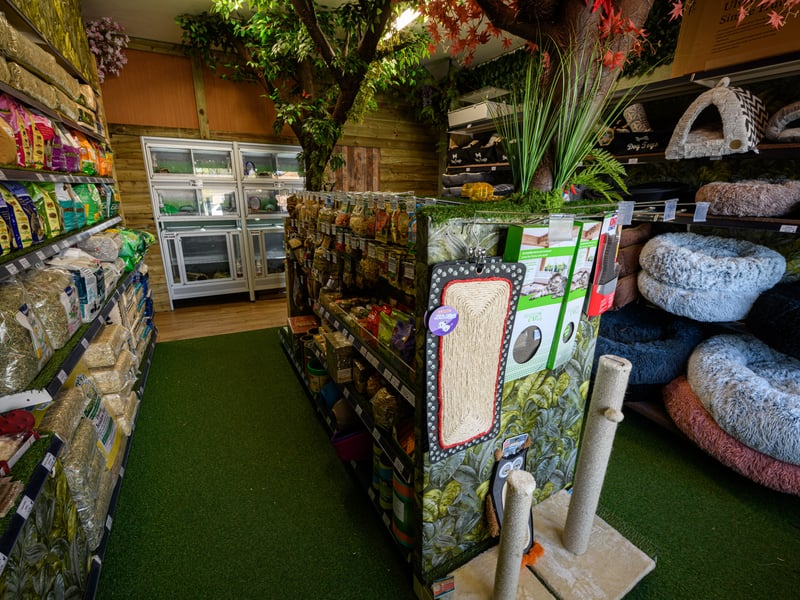 Another look at the new section 