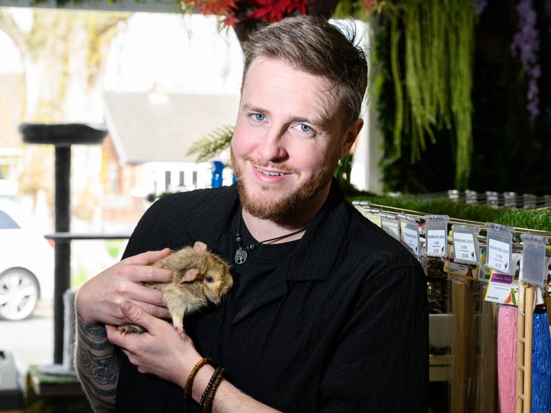 Callum Watson with a guinea pig at Happy Pets and Aquatics in Preston.