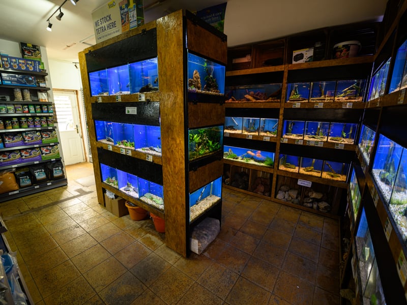 Where the aquatics are housed