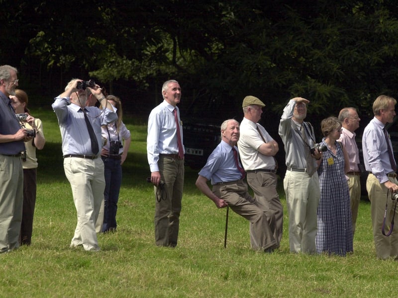 Invited guests watch as one of the four Red Kites to be released onto the Harewood estate tested its wings for the first time in July 2002.