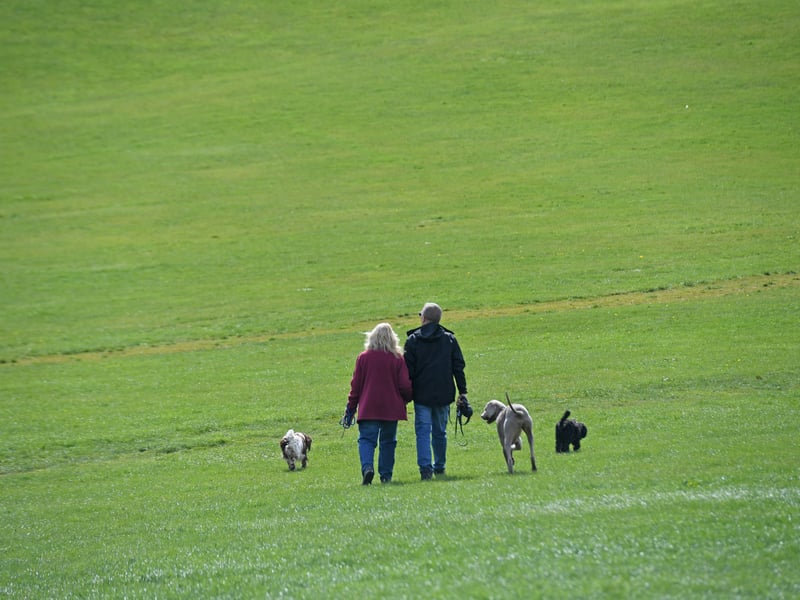 Recommended by Leanne Clarkson, this magnificent Tudor-Jacobean estate offers endless rolling hills and beautifully landscaped grounds. With hundreds of acres to explore, you can easily spend hours here without doing the same loop twice, making it a paradise for energetic pups.