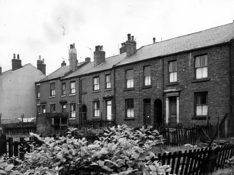 Looking across the gardens to houses on Leak Terrace in June 1964.