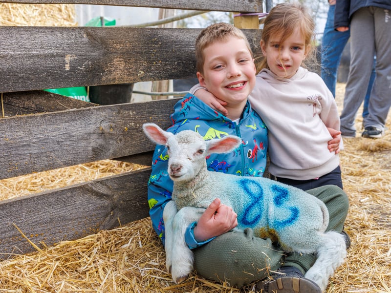 Carter and Chloe holding a little lamb.