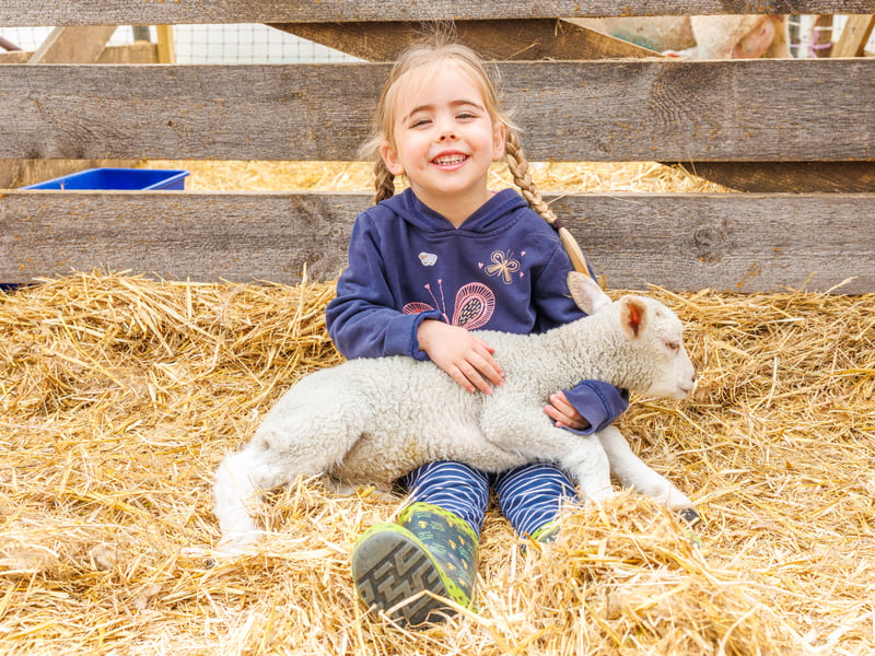 Kaydi having her picture taken with a little lamb.
