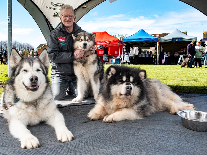 REACH Sled Dogs were among the stalls, alongside animal rescue charities and pet-related small businesses.