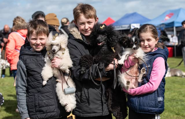 All pooches were welcome at the charity dog show, including these adorable poodles.