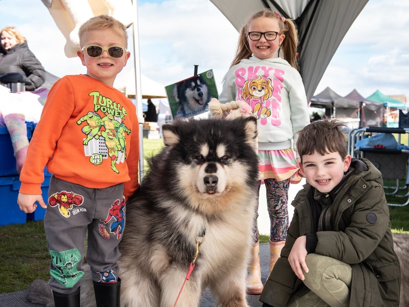 Children meet the REACH Sled Dogs at the Kirkham Dog Show.