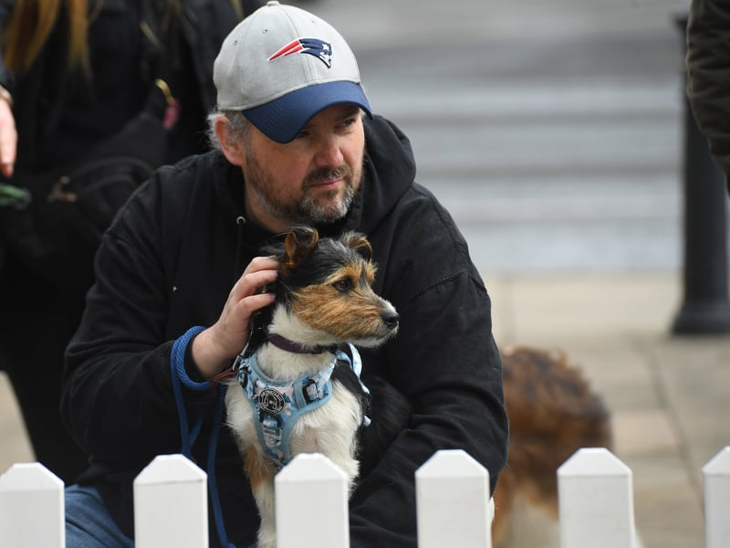 The Harrogate Dog Show returned on Saturday to the Victoria Shopping Centre Piazza.
