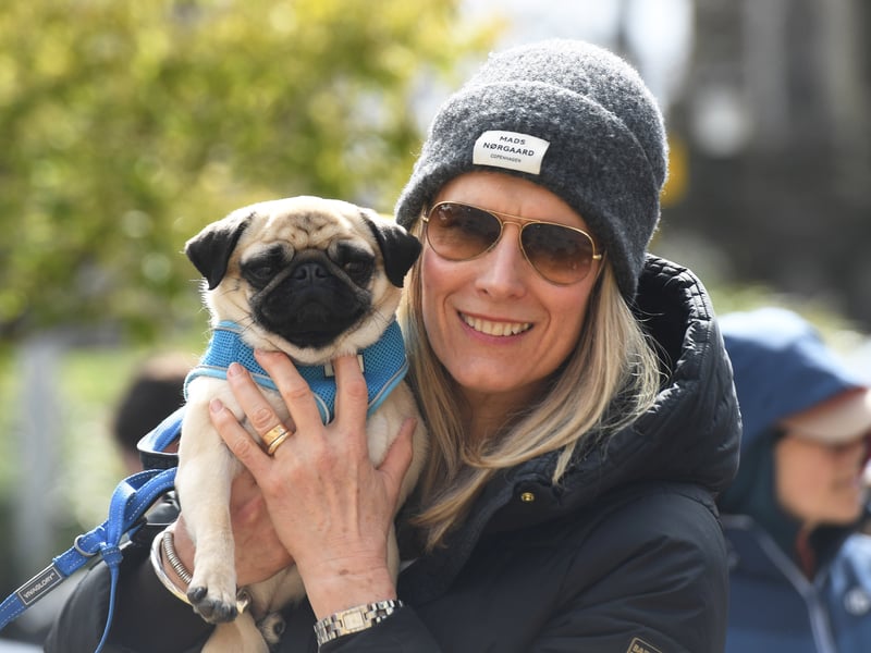 Lijana with Jack the Pug