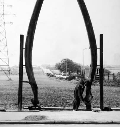 May 1967 and a workman is busy putting the finishing touches to a 20ft arch constructed from the jawbones of a 90 ton whale.