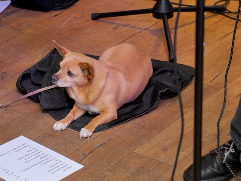 Bo who gave support for Cheryl Elias and the CCeasy band.