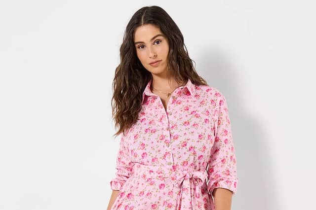 Roses Are Red Cotton Shirt Dress