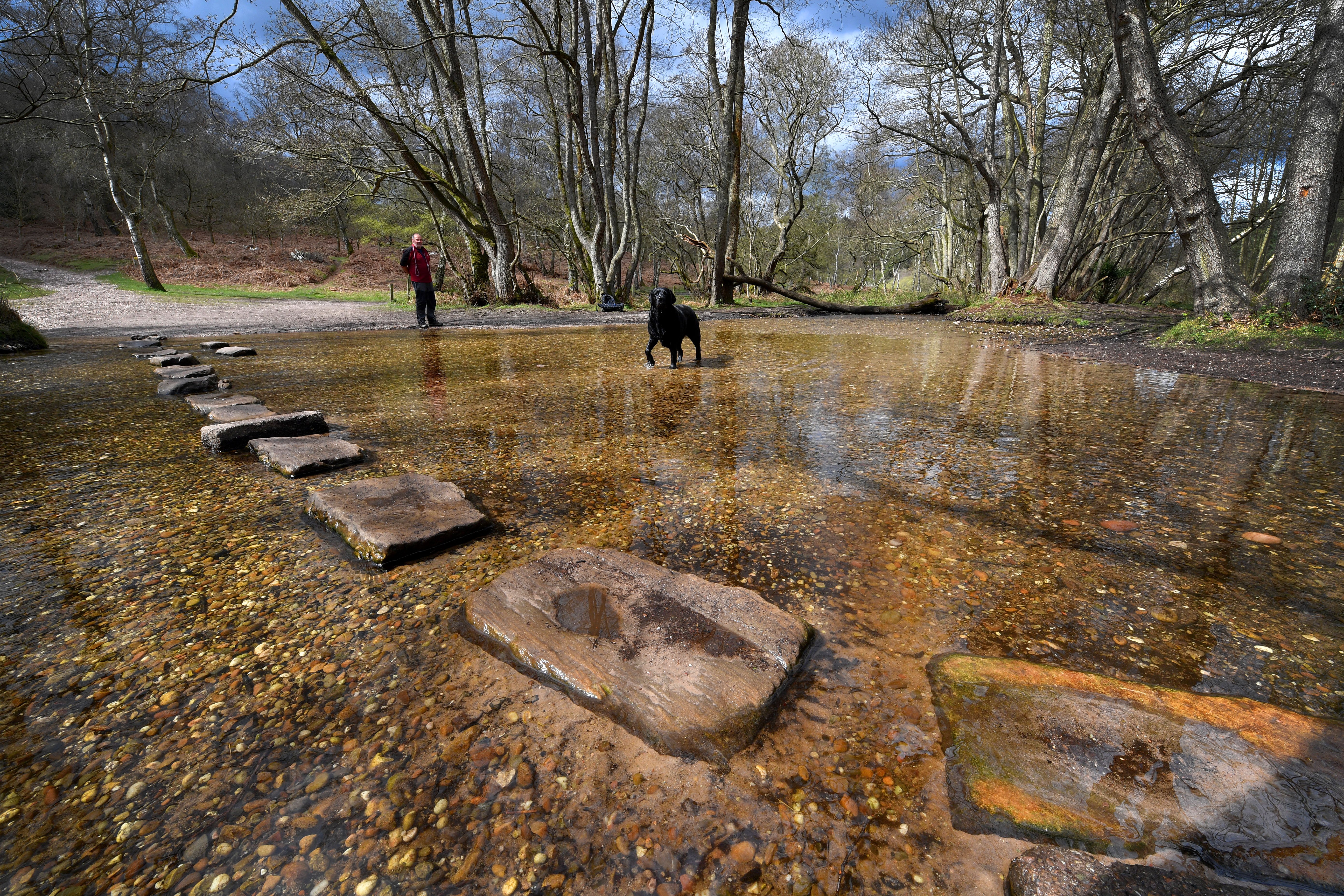 Sherbrook Stepping Stones on Cannock Chase