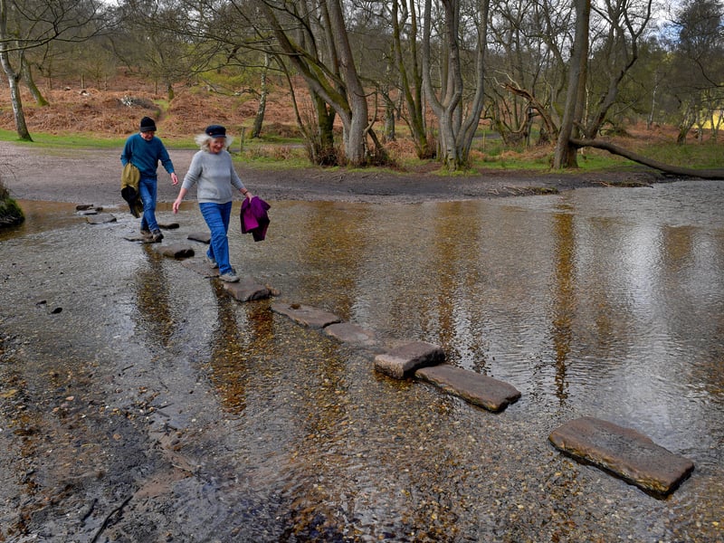 Sherbrook Stepping Stones on Cannock Chase