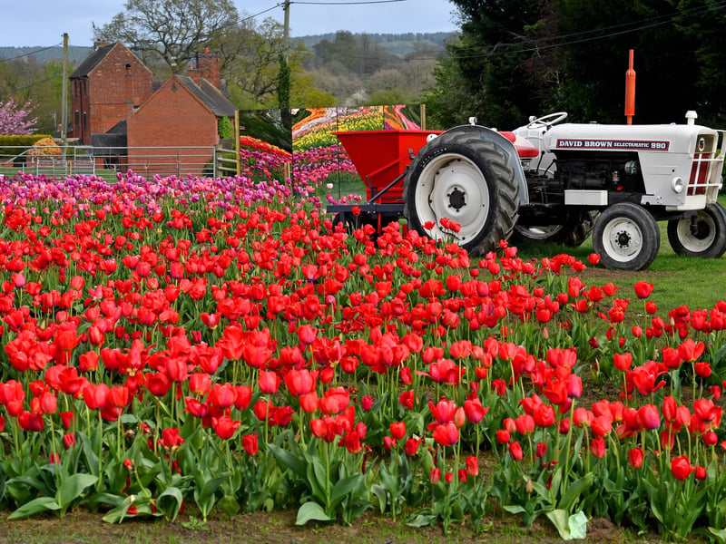 A range of colours have been positioned around the farm