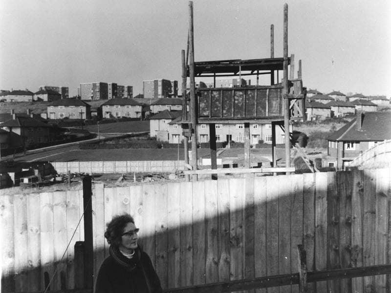 This view over the fence at the bottom of Catherine Walsh's garden shows the tree house in the adventure playground. Pictured in 1969.