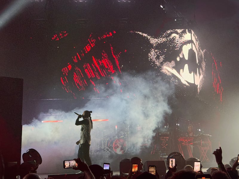 The crowd were treated to a host of spectacular visuals.