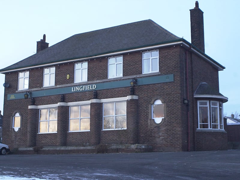 Did you enjoy a drink here back in the day? Lingfield on Lingfield Drive pictured in January 2001.