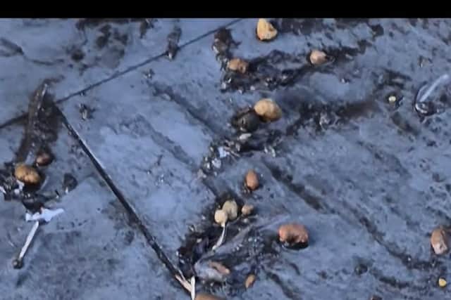 Picture shows faeces left in garden following leak.