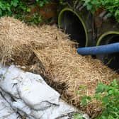 Yorkshire Water and the Environment Agency have both acknowledged that wastewater entered the watercourse following blockages in the sewer network near Lowedges.