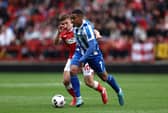 Yan Valery is expected to leave Sheffield Wednesday this summer.