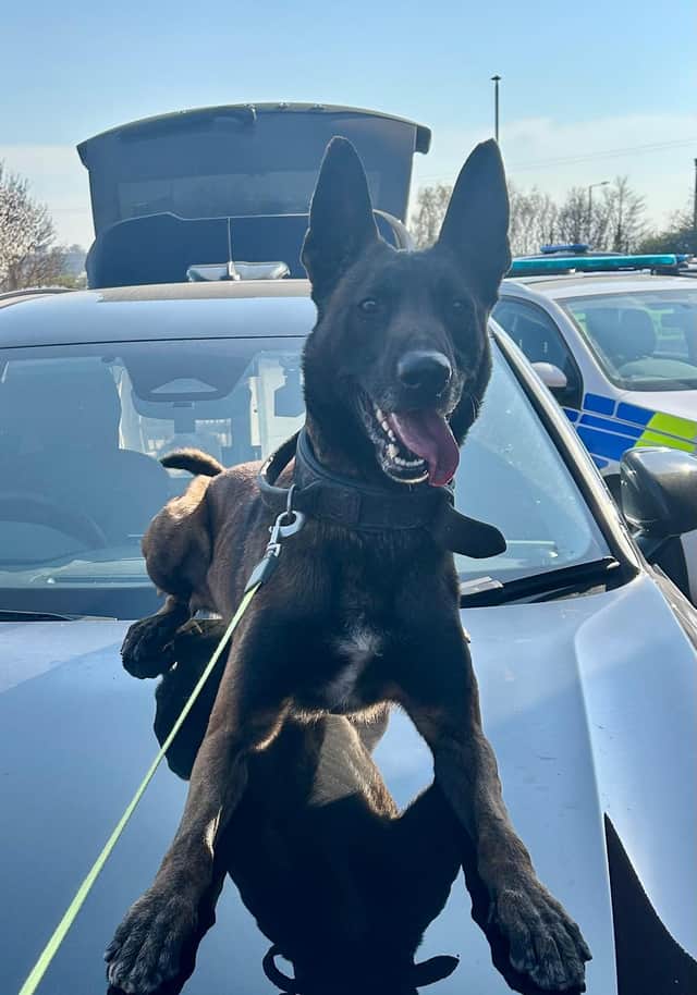 PD Buzz helped capture two suspects accused of stealing a van in Rotherham.