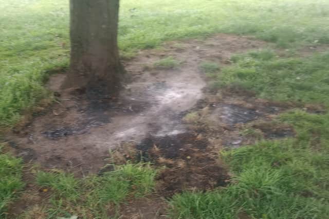 Scorch marks on the ground where Kenny Kennedy's tent had been pictched. Photo: Martin Herron.